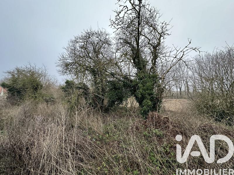 Terrain - 26 061 m²