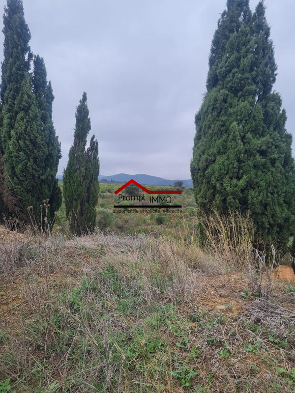 Terrain agricole - 23 648 m²