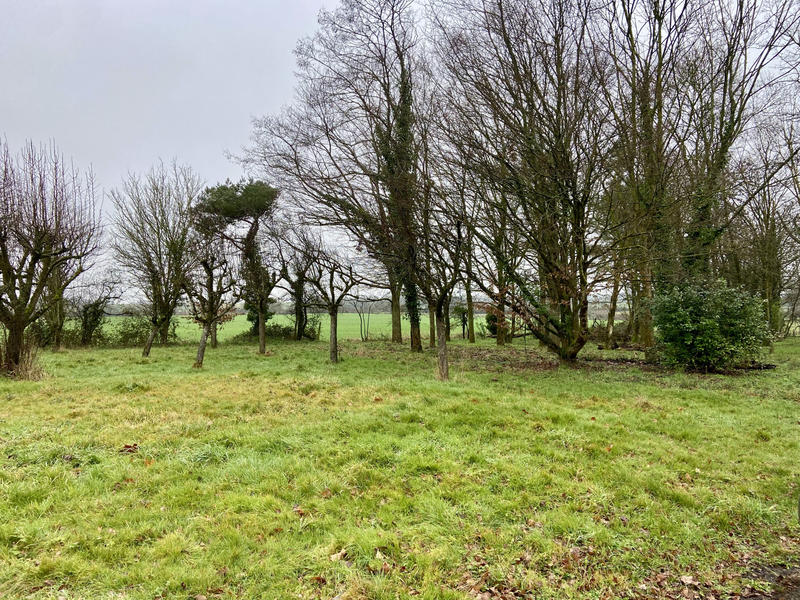 Maison - 201 m² - 7 pièces