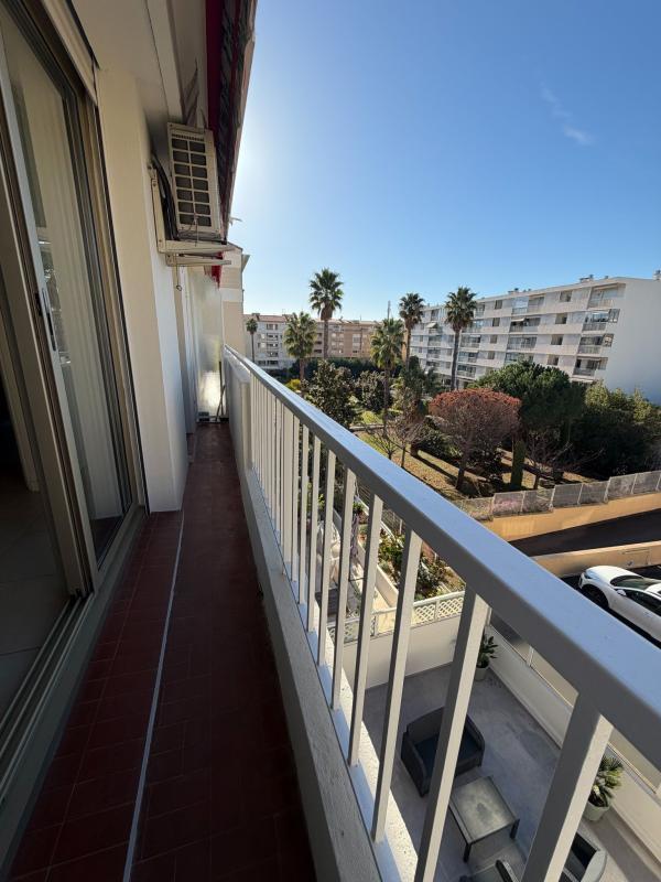 Studio - 24 m² - 1 pièce