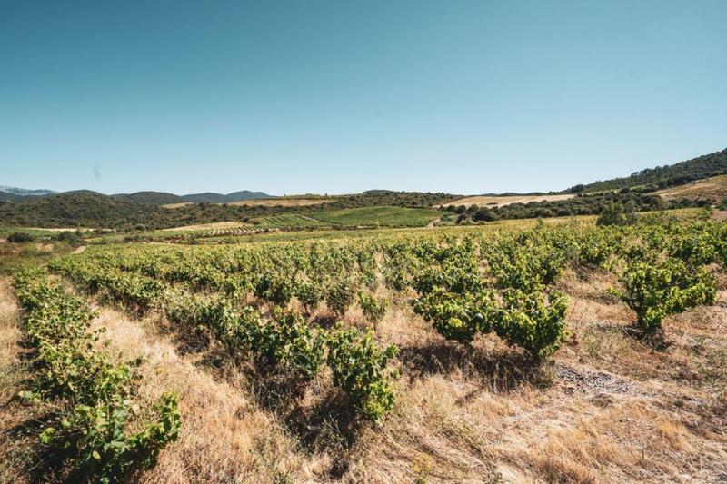 Terrain - 148 075 m²