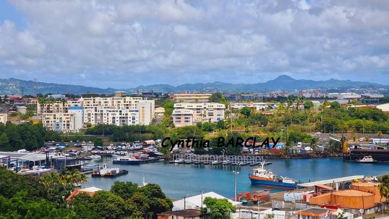 Appartement - 96 m² - 4 pièces