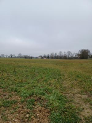 Maison - 60 m² - 3 pièces