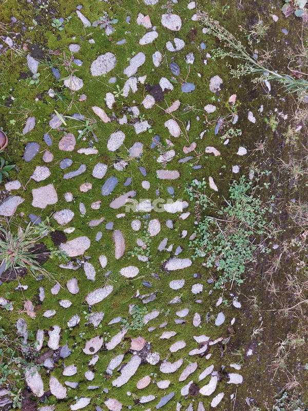 Maison - 50 m² - 1 pièce