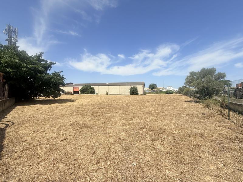 Local d'activités - 1 205 m²