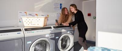 Studio - 14 m² - 1 pièce