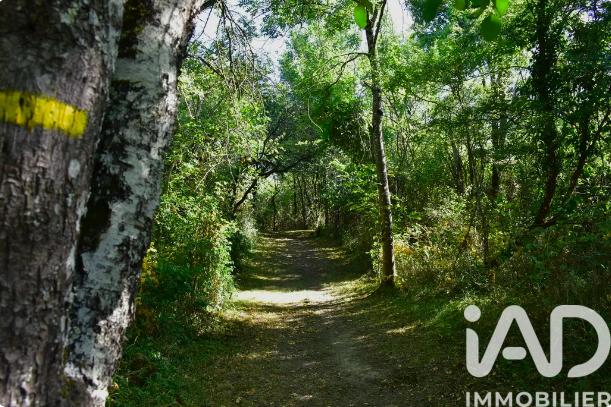 Terrain - 88 430 m²