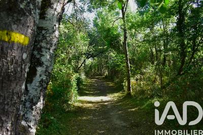 Terrain - 88 430 m²