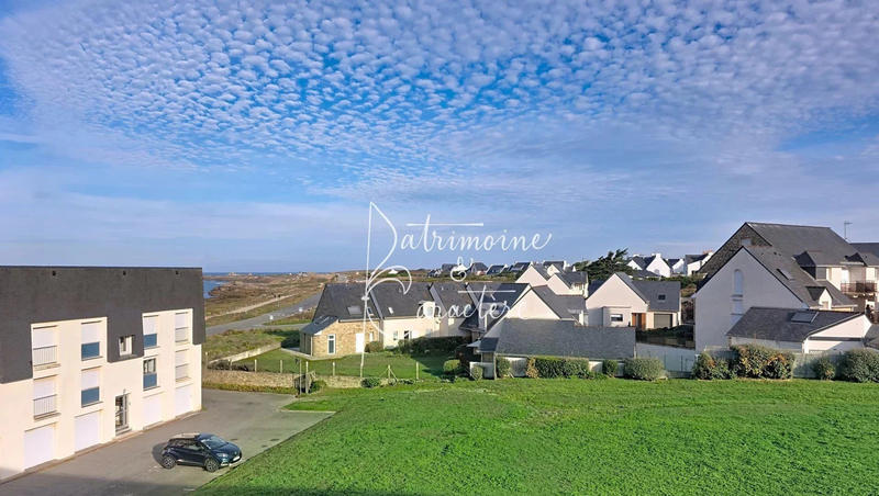 Appartement - 55 m² - 2 pièces