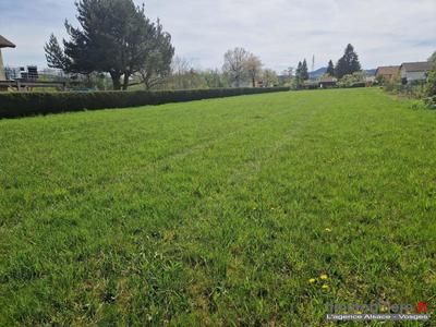 Terrain - 3 010 m²