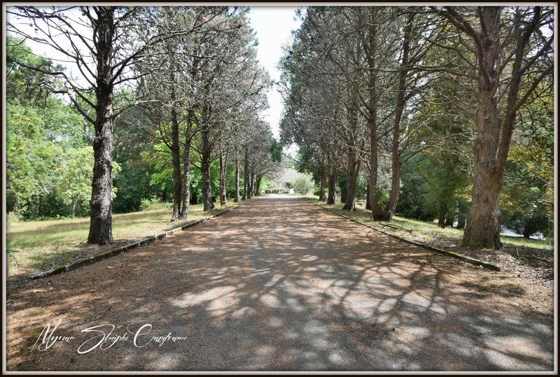 Propriété - 231 m² - 8 pièces