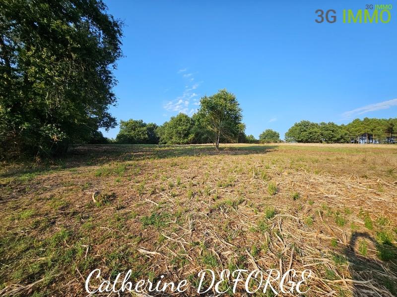 Maison - 145 m² - 10 pièces