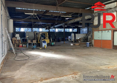 Local d'activités - 600 m²