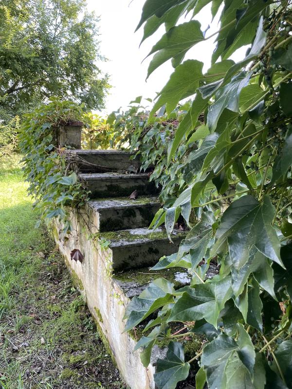 Maison ancienne - 409 m² - 12 pièces