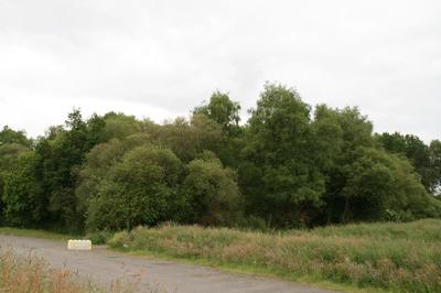 Terrain - 53 650 m²