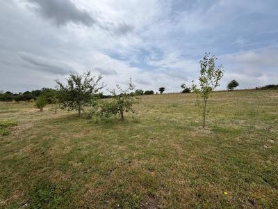 Maison - 195 m² - 5 pièces