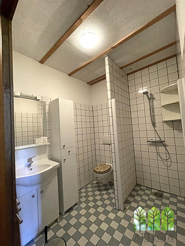 Maison ancienne - 395 m² - 11 pièces