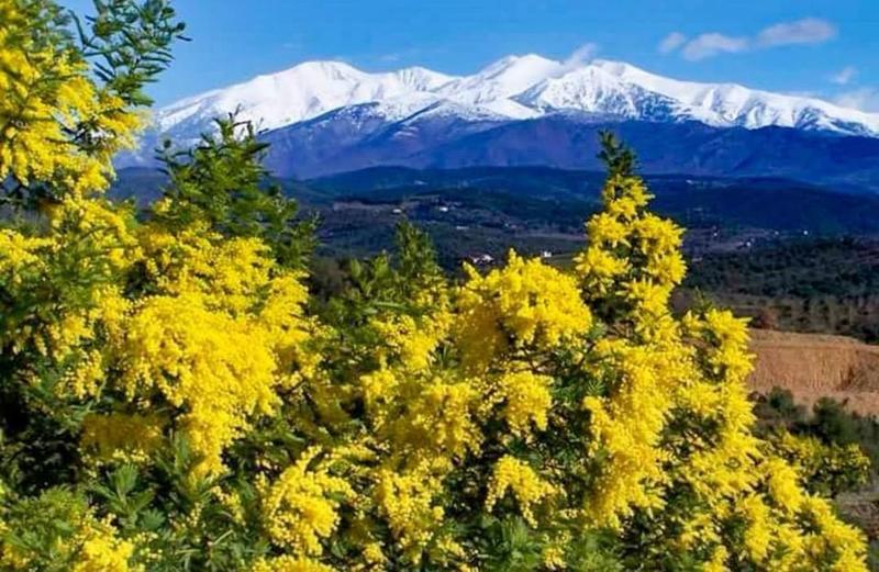 Propriété - 200 m² - 6 pièces