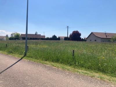 Terrain constructible - 2 920 m²