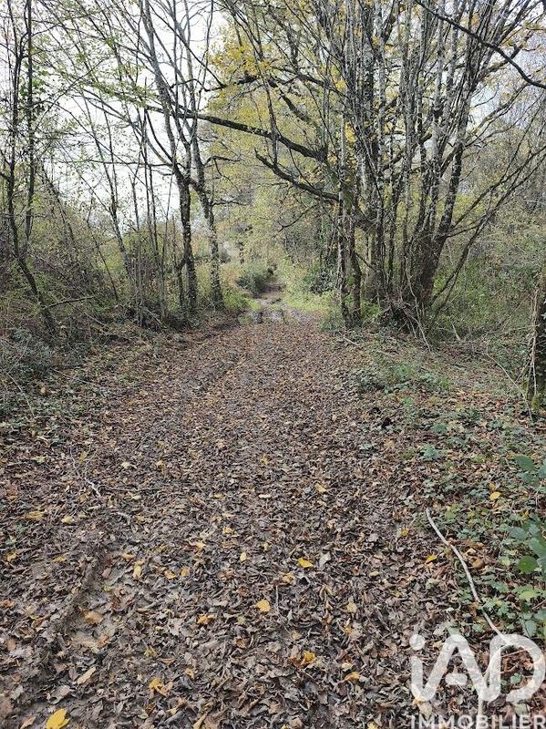 Terrain - 405 918 m²