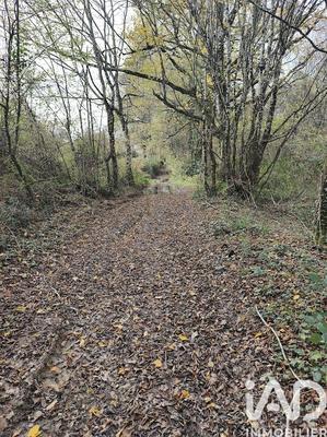 Terrain - 405 918 m²