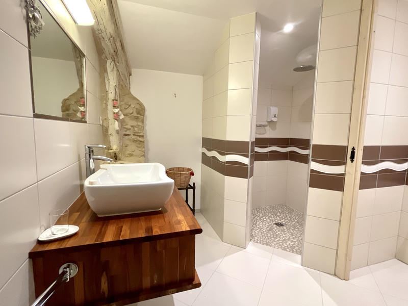 Maison - 417 m² - 8 pièces