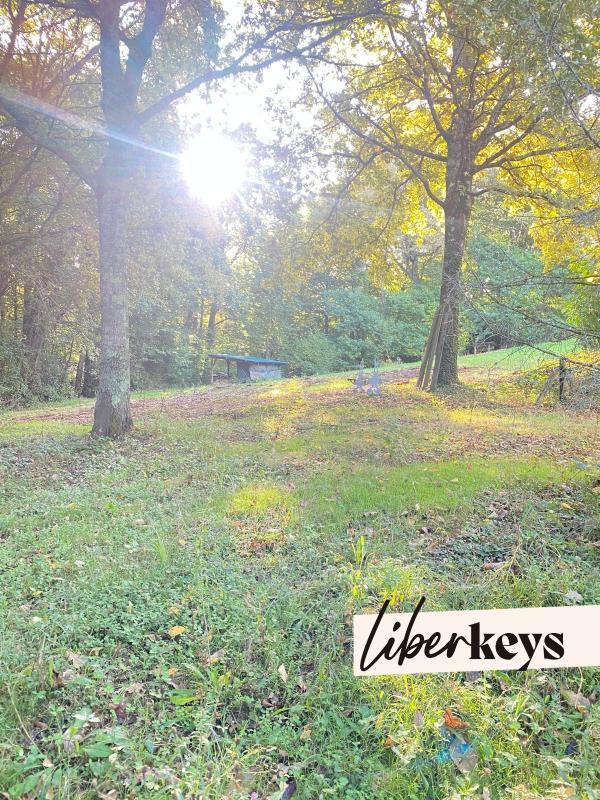 Terrain - 12 800 m²