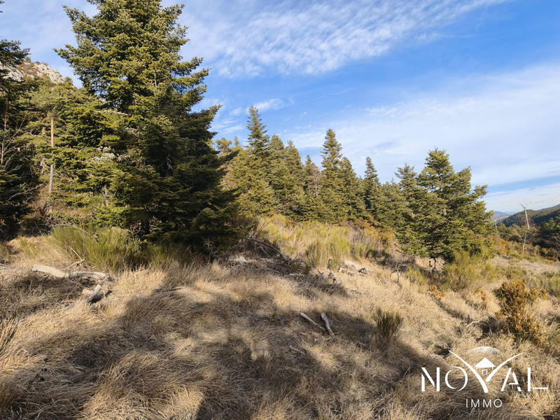 Terrain - 13 495 m²