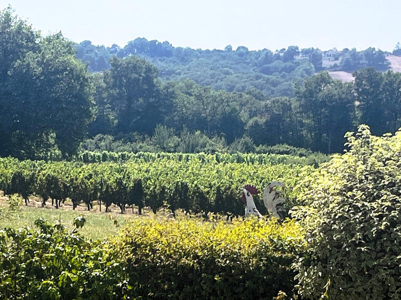 Propriété - 191 m² - 6 pièces