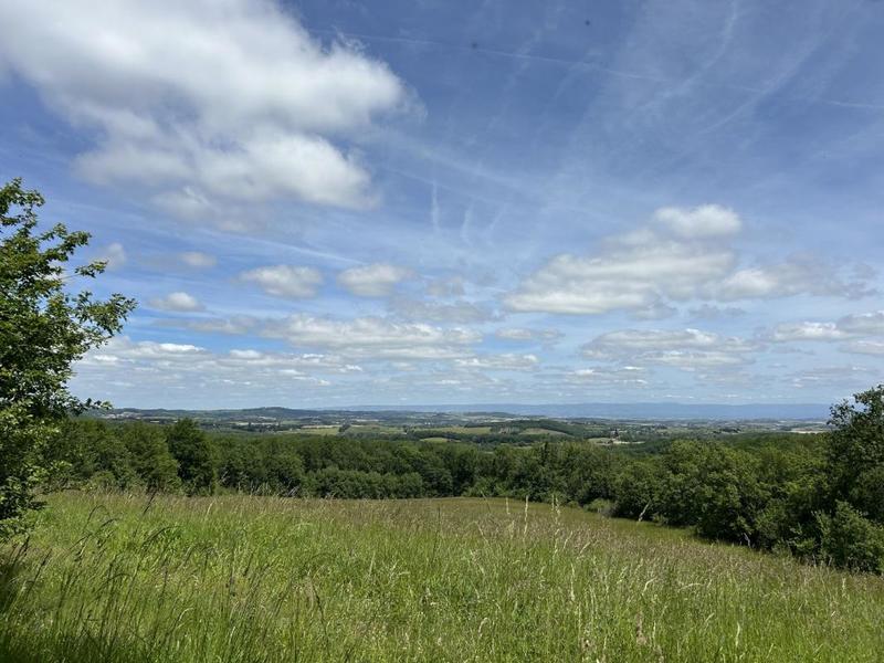 Propriété - 347 m² - 8 pièces