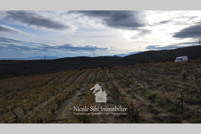 Terrain agricole - 28 875 m²