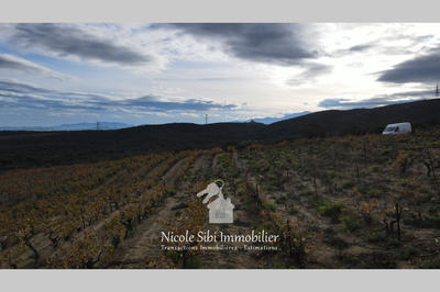 Terrain agricole - 28 875 m²