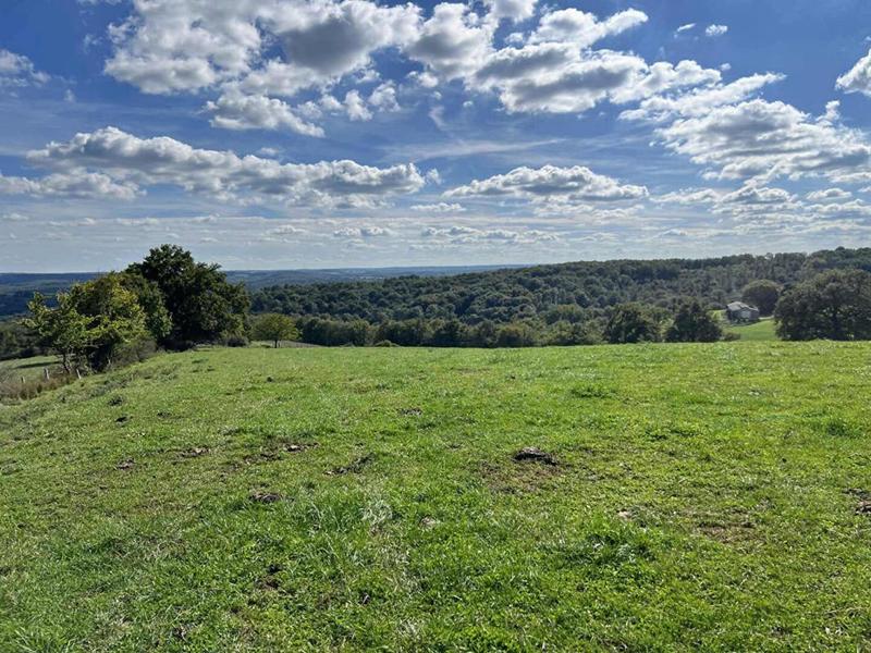 Propriété - 150 m² - 5 pièces