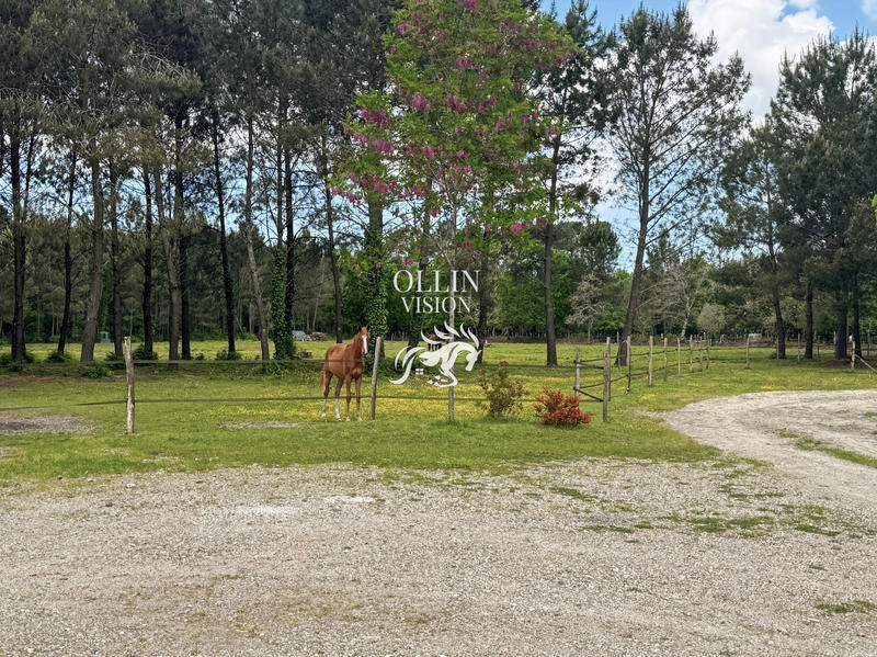 Maison - 203 m² - 7 pièces