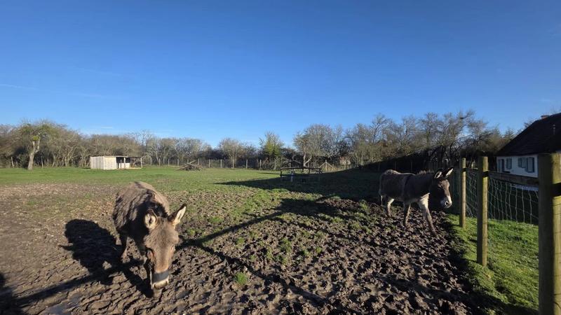 Maison - 205 m² - 6 pièces