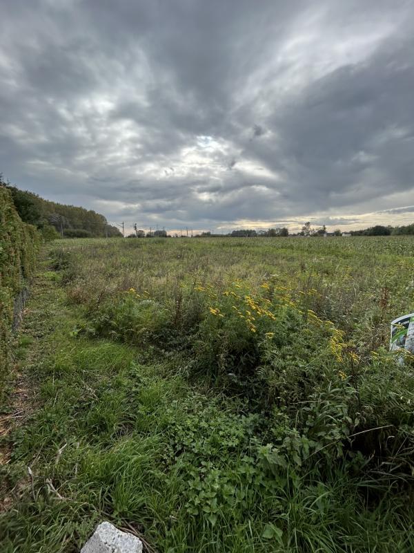 Terrain constructible - 883 m²