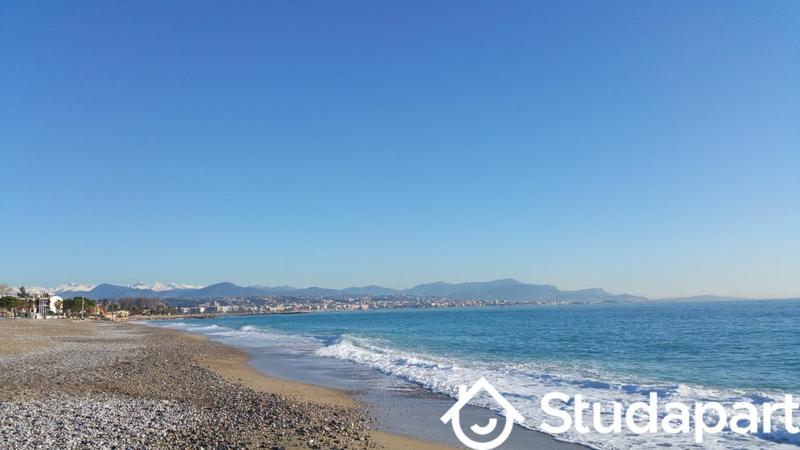 Appartement - 30 m² - 2 pièces