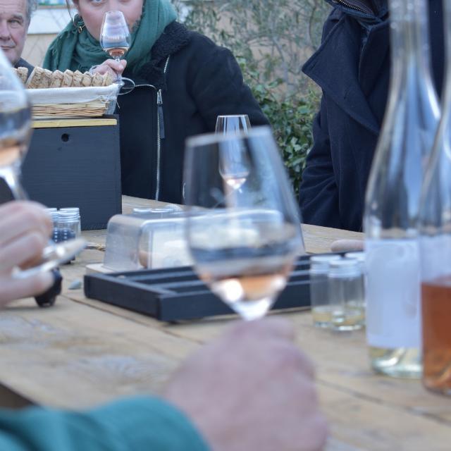 Wine gaming au Domaine viticole de l'Anchois