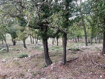 Terrain inconstructible - 1 827 m²