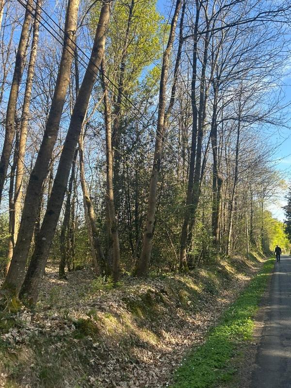 Terrain de loisirs - 16 366 m²