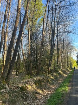 Terrain de loisirs - 16 366 m²