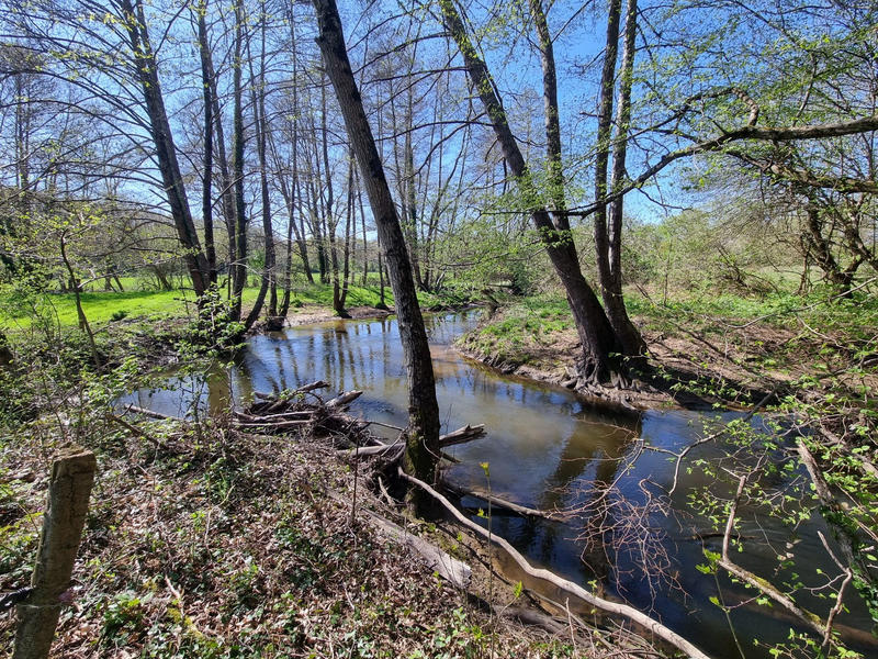 Maison - 234 m² - 8 pièces