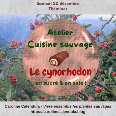 Atelier à Thémines :  cuisine sauvage autour de la cuisine du cynorhodon !