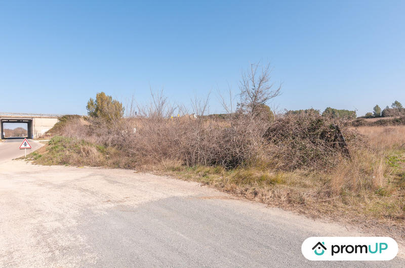 Terrain agricole - 5 000 m²