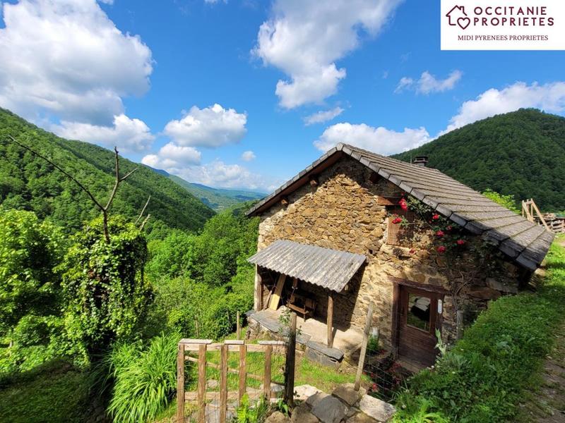 Maison en pierre - 78 m² - 3 pièces