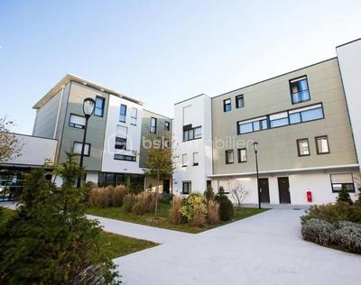 Studio - 21 m² - 1 pièce