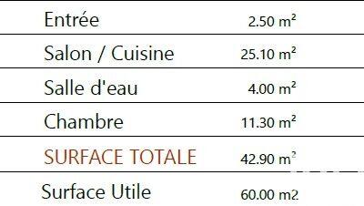 Appartement - 43 m² - 2 pièces