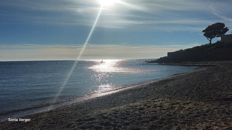 Appartement - 22 m² - 1 pièce