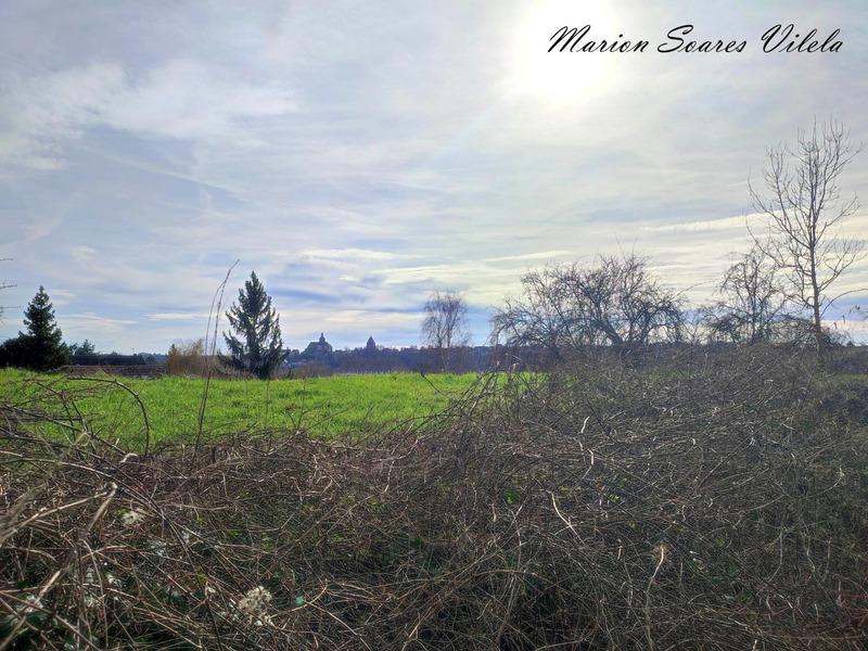 Terrain constructible - 2 976 m²