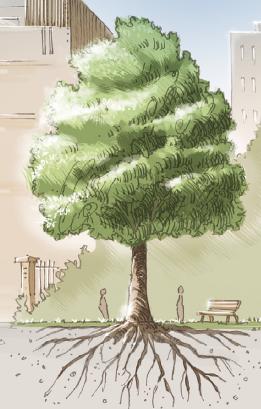 Rencontre "L'arbre de nos centres-bourgs" par Paul Davodeau